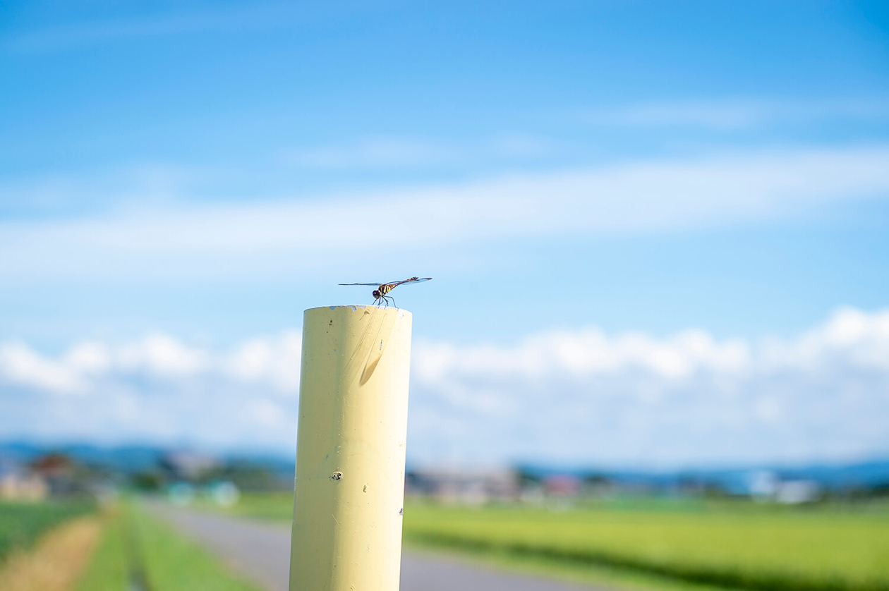 第二百六十一話 幸せは、好きなことの中にある－【秋田篇】パイロット 及位ヤヱ－