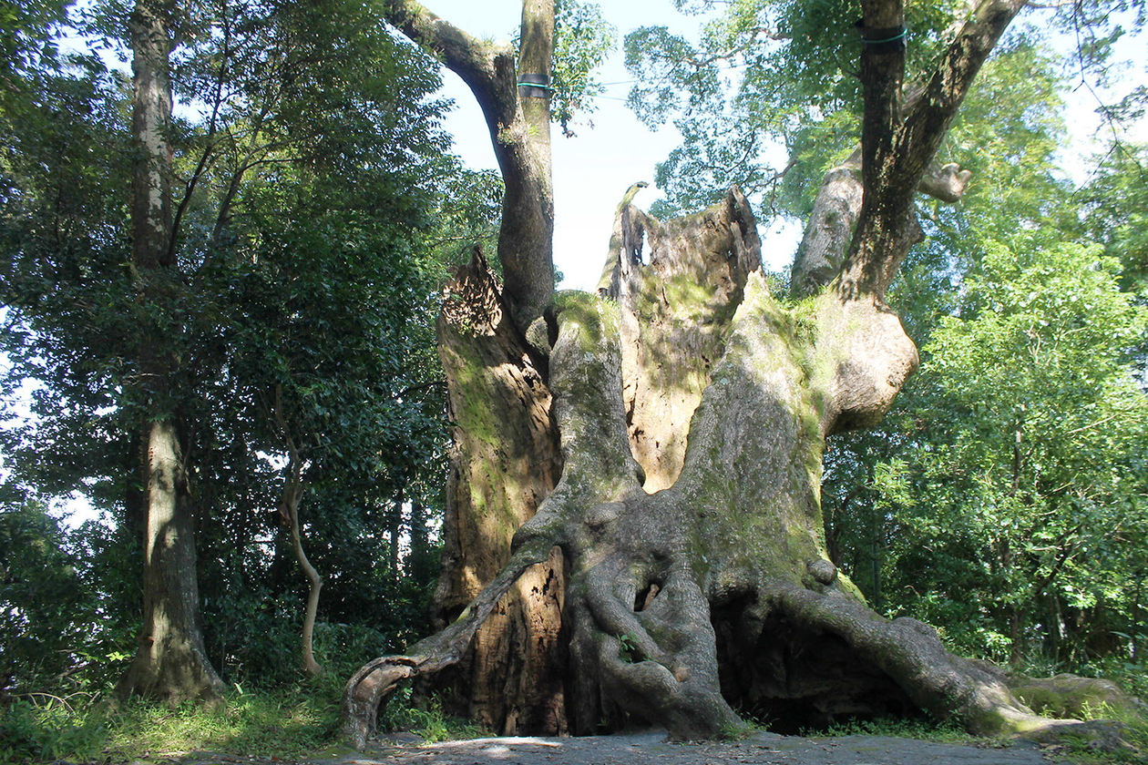 第二百六十七話 歩みをとめない－【佐賀篇】報道写真家 一ノ瀬泰造－