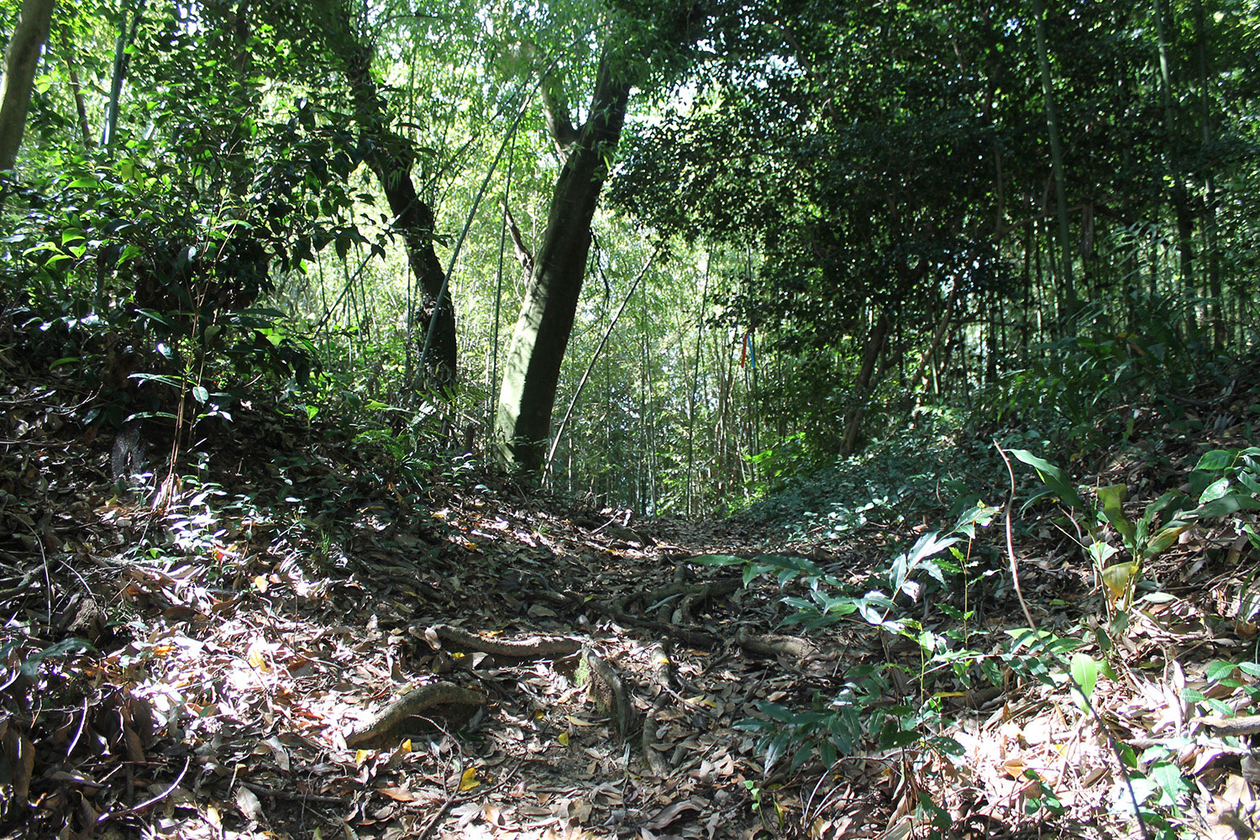 第二百六十七話 歩みをとめない－【佐賀篇】報道写真家 一ノ瀬泰造－