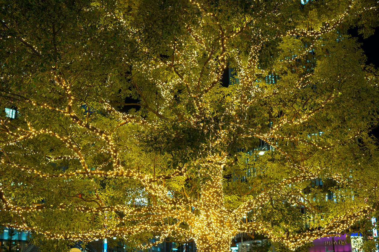 第二百七十五話 自分の人生を支配する－【伝記映画篇】レイ・チャールズ－