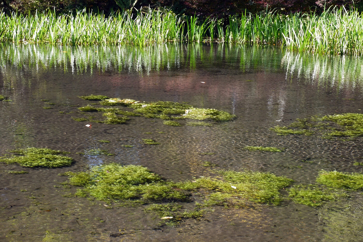 第二十八話 書き続ける力－作家・辻邦生－