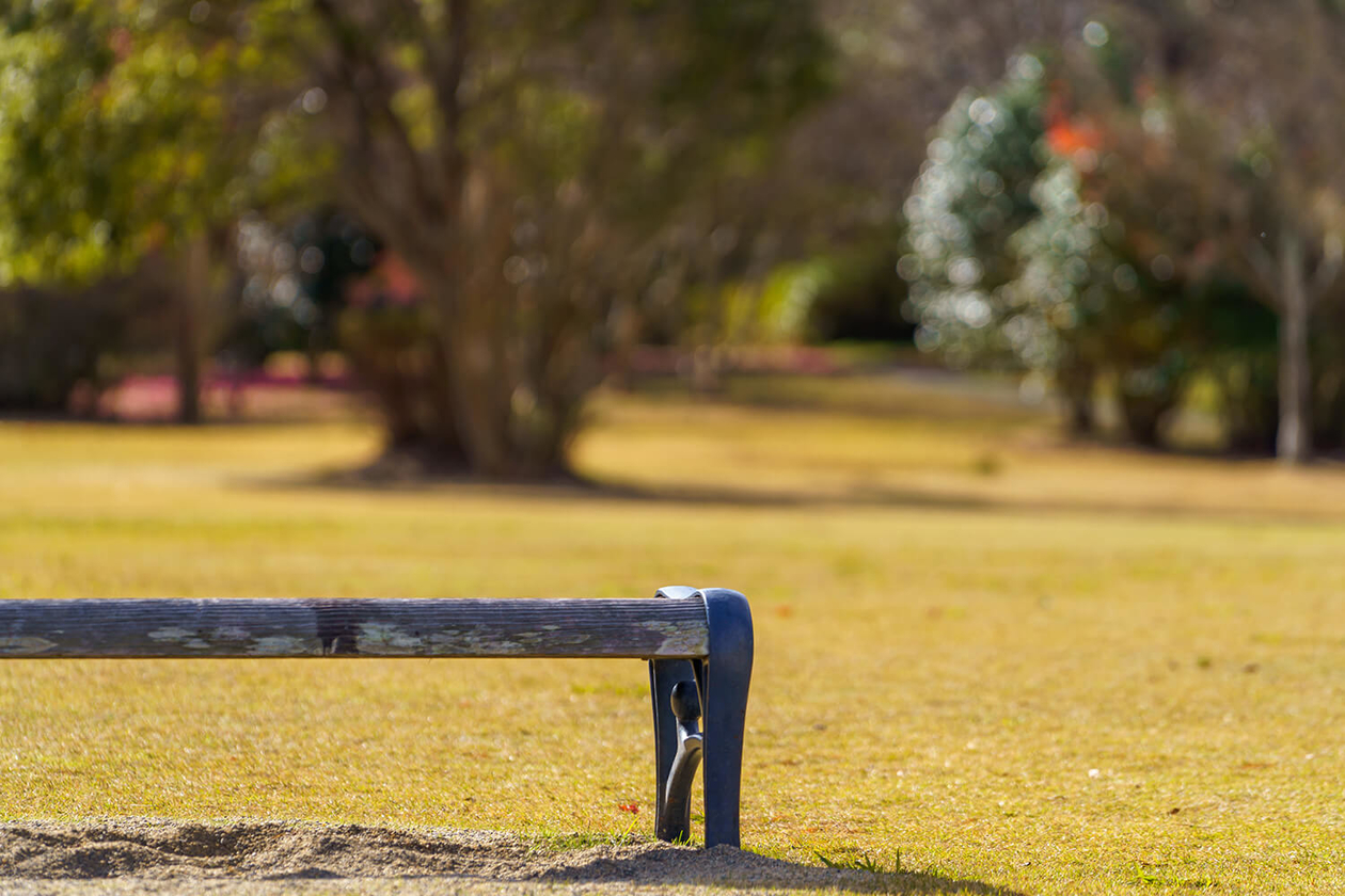 第二百七十七話 絶えず、変わり続ける－【伝記映画篇】ボブ・ディラン－