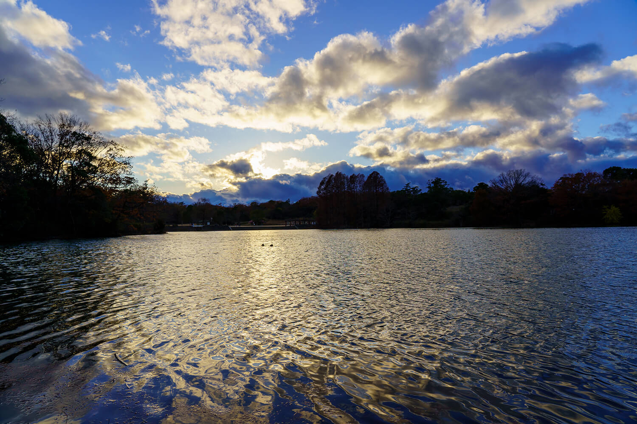 第二百七十八話 誰にもできないことをやる－【伝記映画篇】画家 ジョゼフ・マロード・ウィリアム・ターナー－