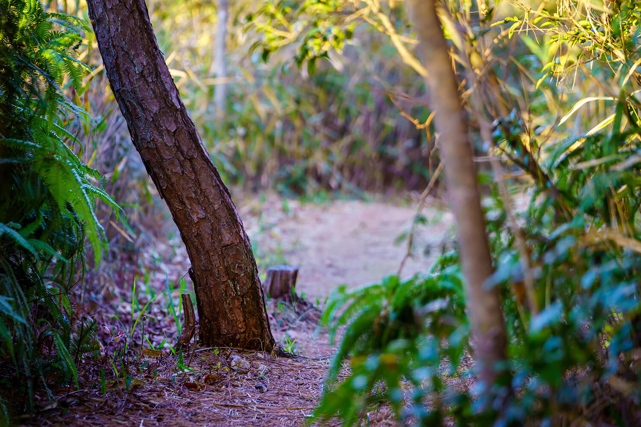 第二百七十八話 誰にもできないことをやる－【伝記映画篇】画家 ジョゼフ・マロード・ウィリアム・ターナー－