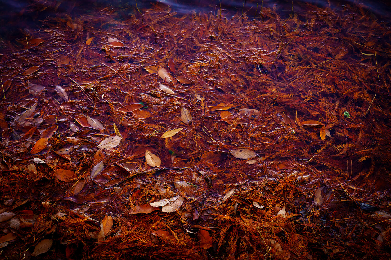 第二百七十八話 誰にもできないことをやる－【伝記映画篇】画家 ジョゼフ・マロード・ウィリアム・ターナー－