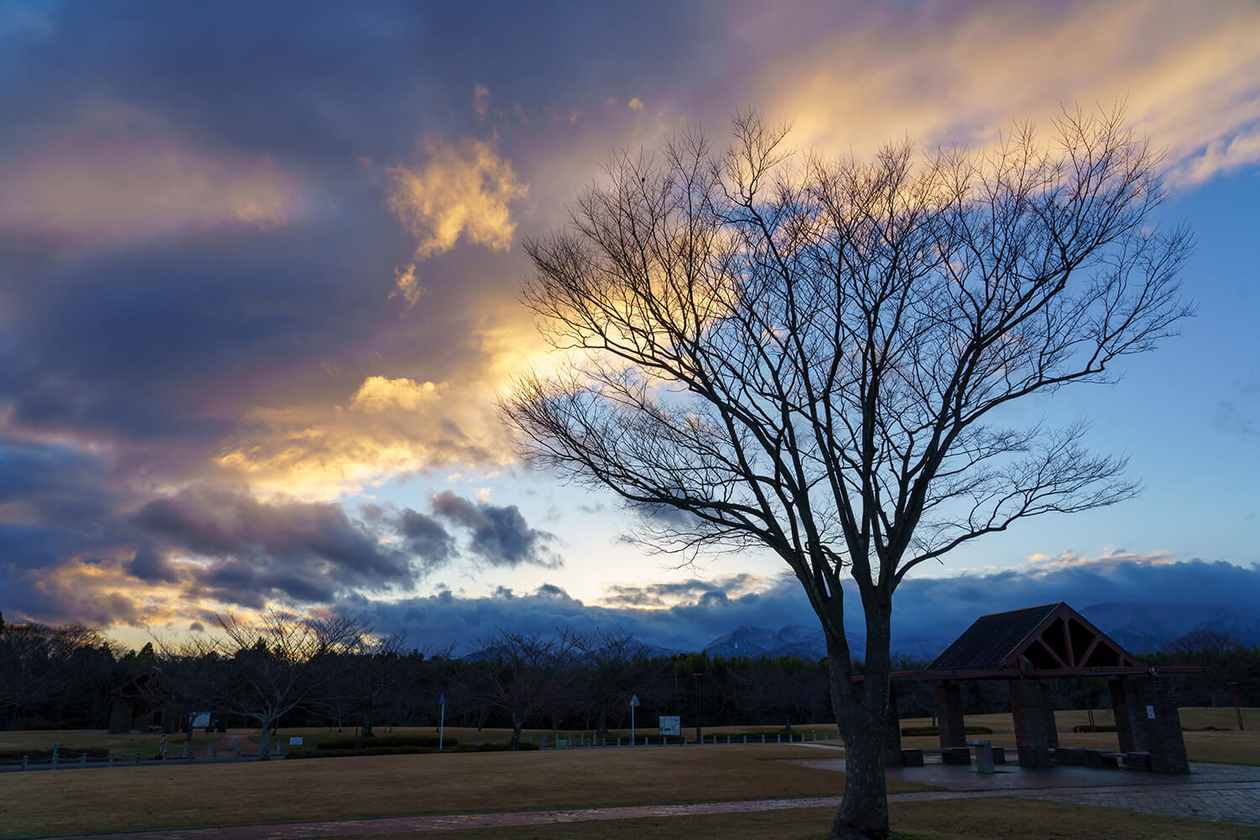 第二百七十八話 誰にもできないことをやる－【伝記映画篇】画家 ジョゼフ・マロード・ウィリアム・ターナー－