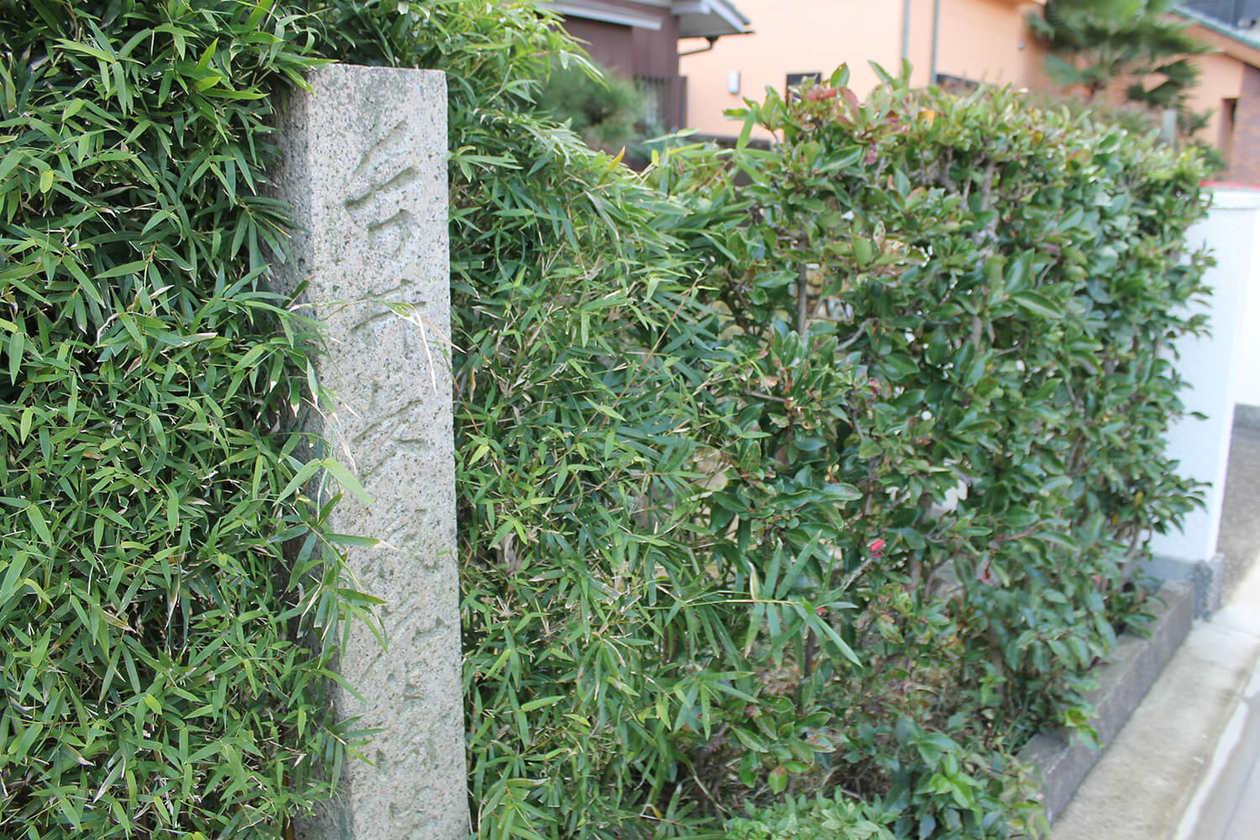 第二百八十話 座った場所を王座にする－【徳島篇】薬学者 長井長義－