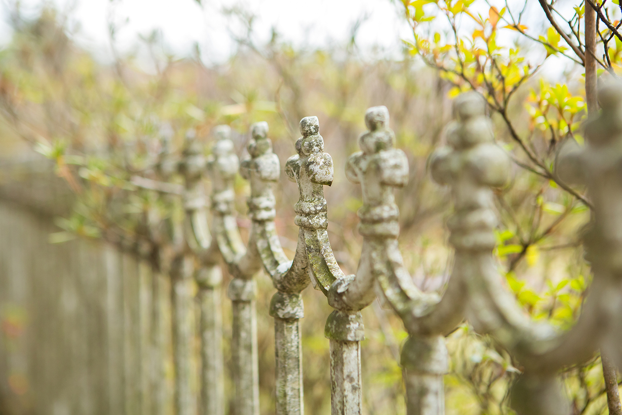 第二十八話 書き続ける力－作家・辻邦生－