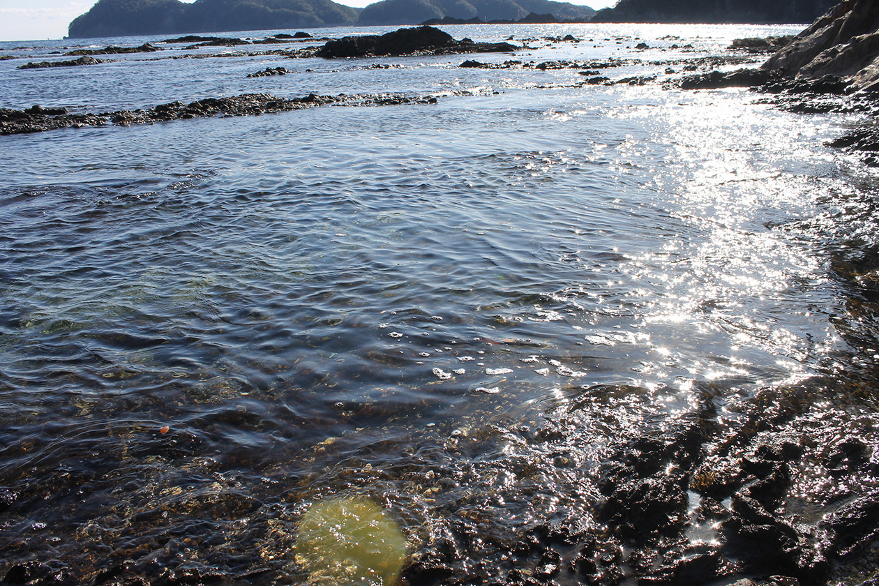 第二百八十一話 他人を敬う－【徳島篇】プロ野球監督 上田利治－