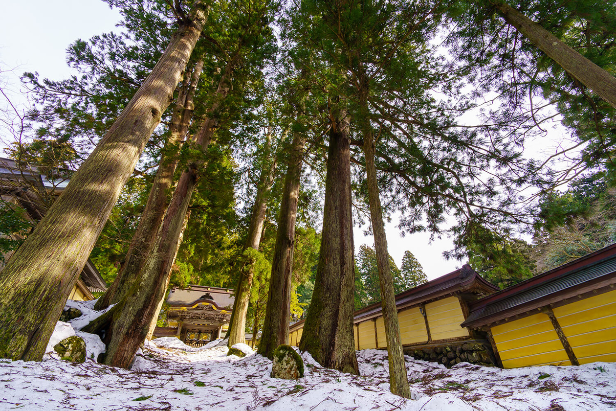 第二百八十四話 不完全を愛する－【福井篇】思想家 岡倉天心－