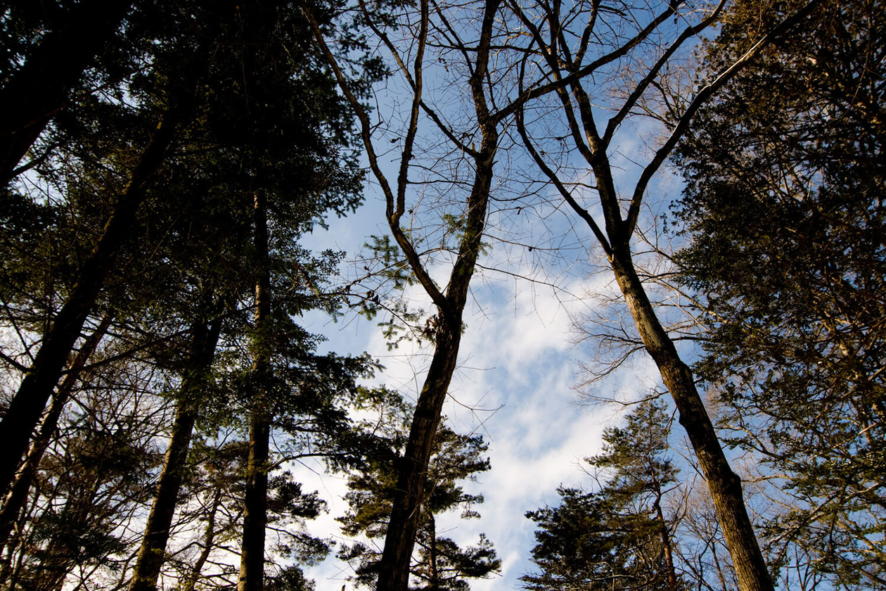 第二十九話 自分を掘りだす－作家・志賀直哉－