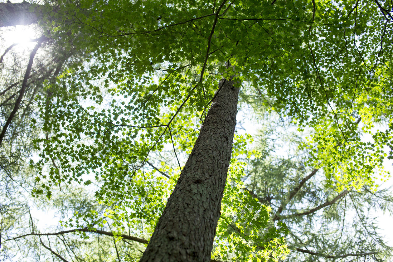 第ニ話 ブレない男であるために－白洲 次郎－
