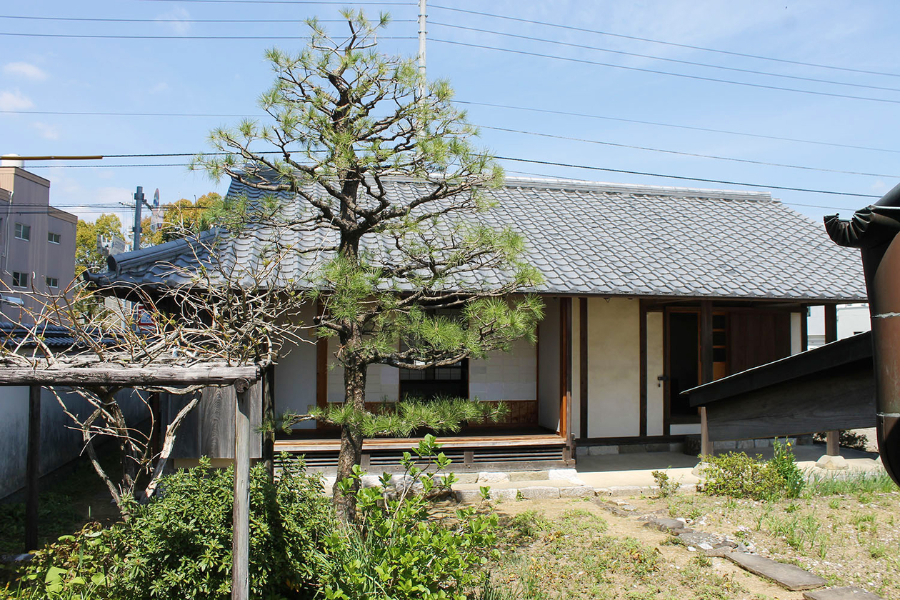 第二百九十二話 自然とつながる－【高知篇】物理学者・随筆家 寺田寅彦－