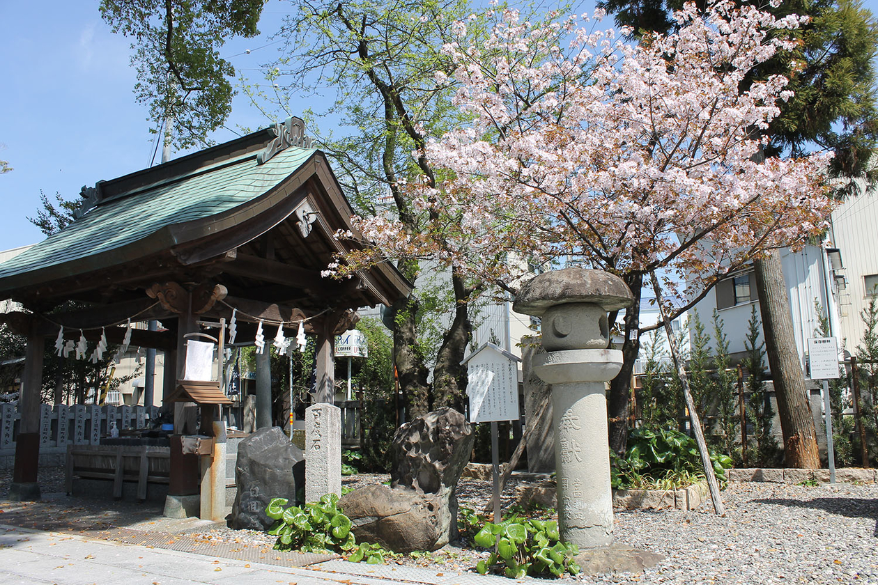 第二百九十二話 自然とつながる－【高知篇】物理学者・随筆家 寺田寅彦－