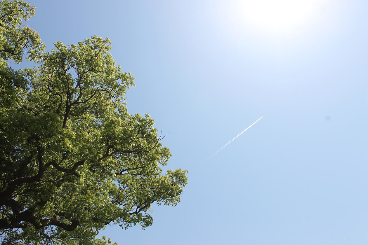 第二百九十四話 ないものを探し続ける－【高知篇】小説家 倉橋由美子－