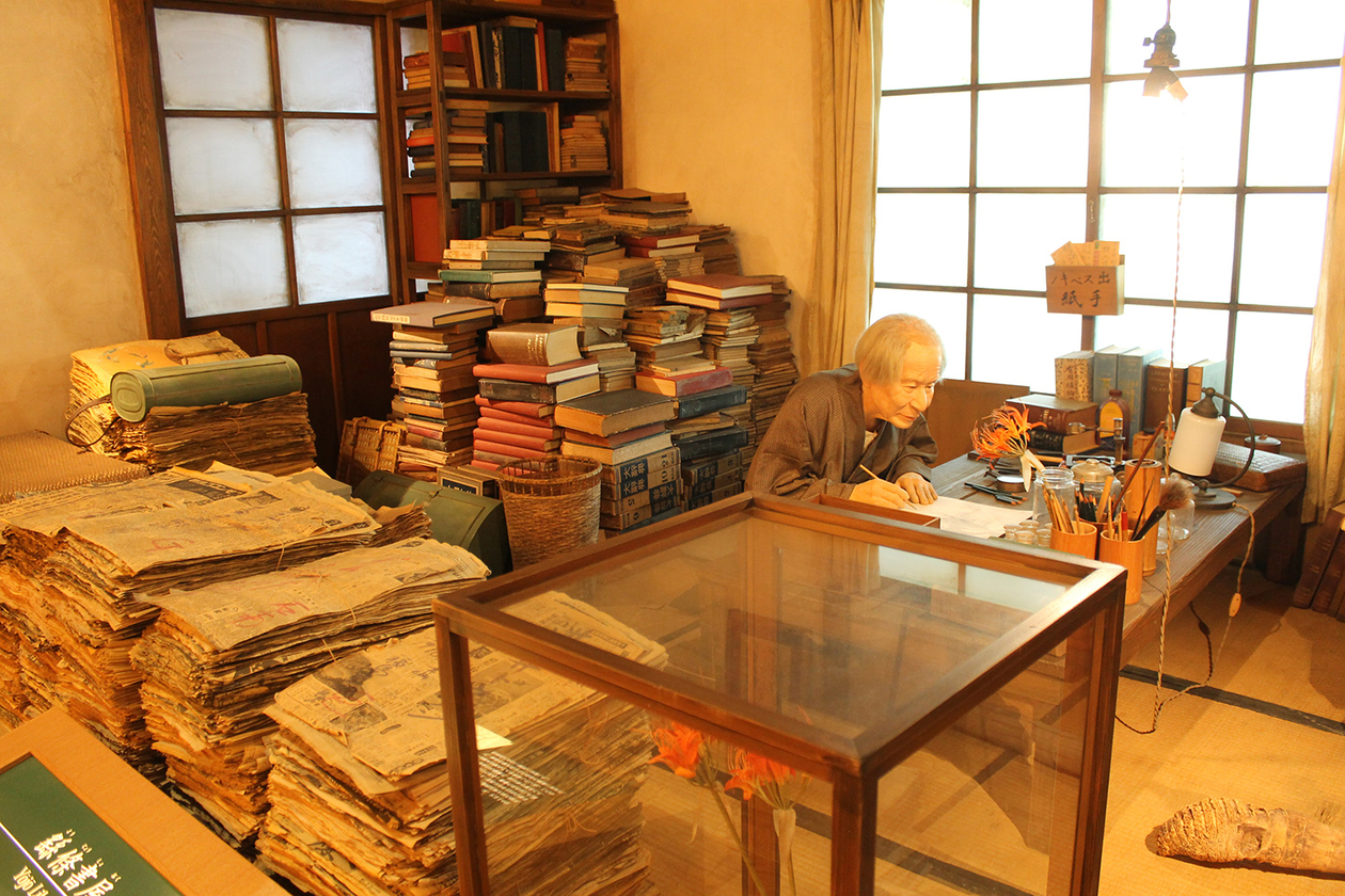 第二百九十五話 自分にしかできないことを極める－【高知篇】植物学者 牧野富太郎－