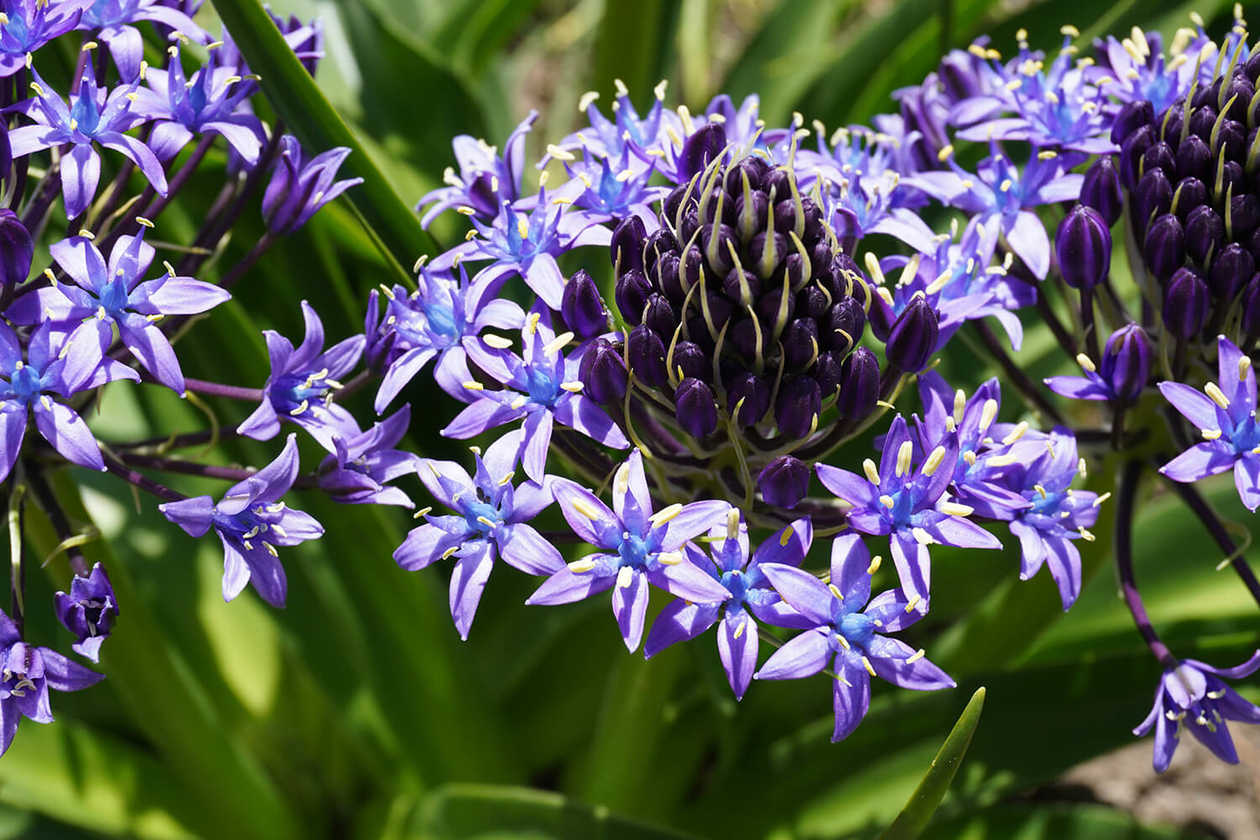 第二百九十六話 悔いのない人生を選ぶ－【栃木篇】画家 田中一村－