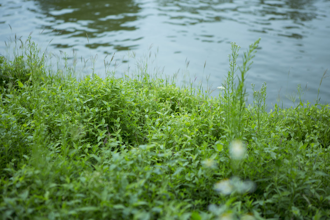 第ニ話 ブレない男であるために－白洲 次郎－