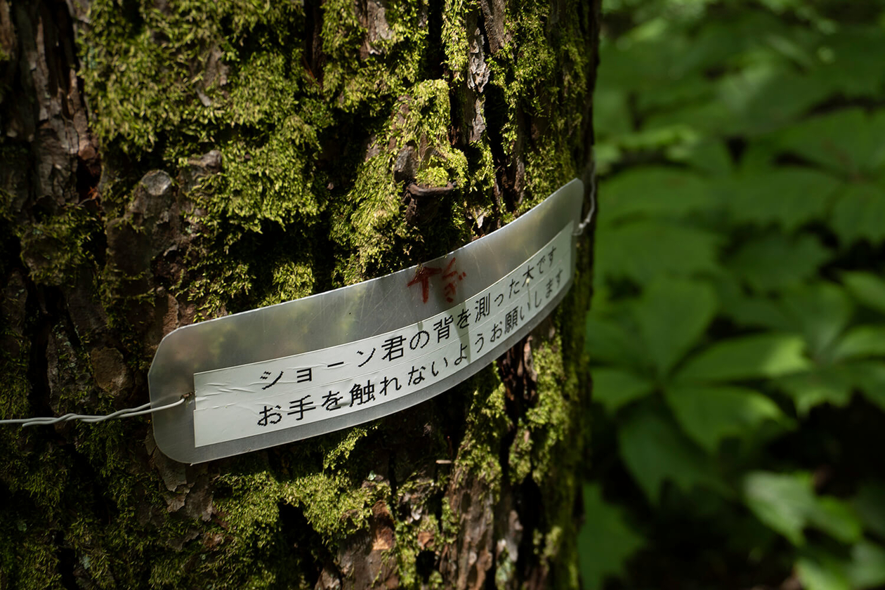 第三百一話 自分にyes！と言い続ける－【長野篇】ジョン・レノン－