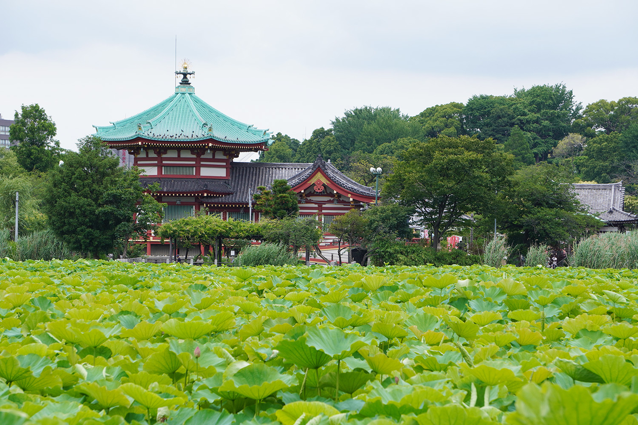 第三百五話 ひとりを楽しむ－【東京篇】小説家 永井荷風－