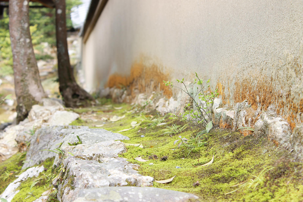 第三十二話 世界を変えるためには－【京都篇】 作家 三島由紀夫－