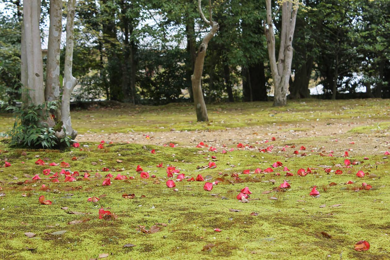第三十二話 世界を変えるためには－【京都篇】 作家 三島由紀夫－