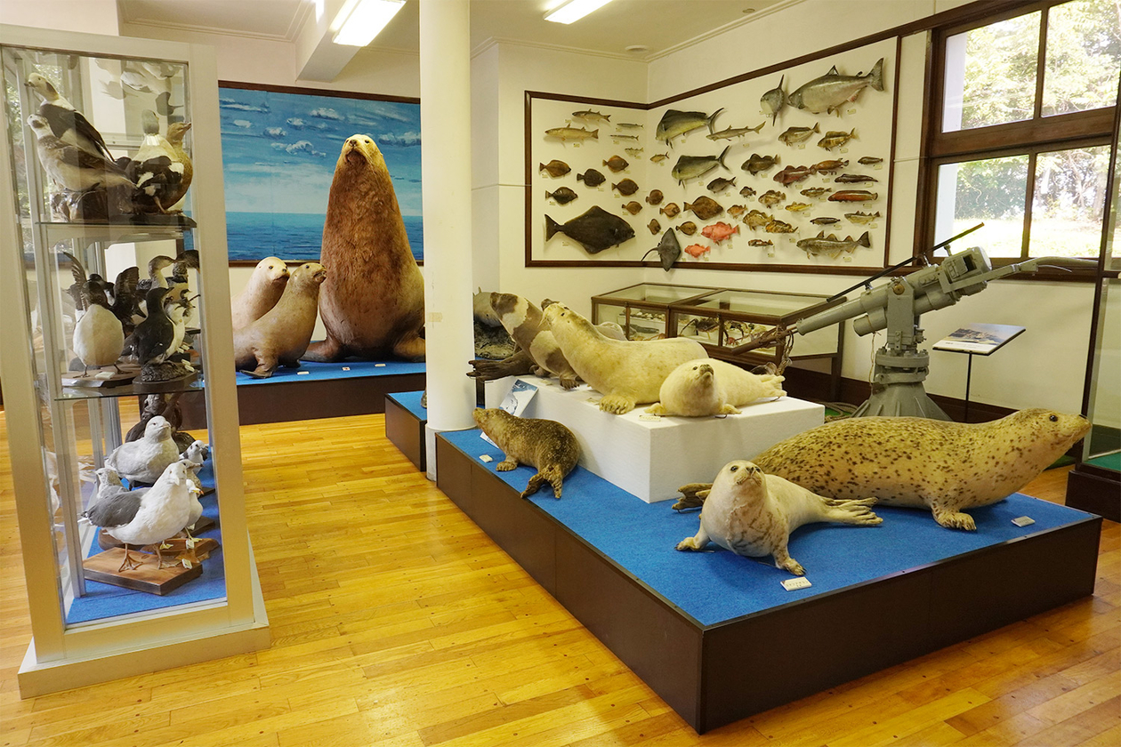 第三百十一話 枠にとらわれない－【北海道篇】文化人類学者 山口昌男－