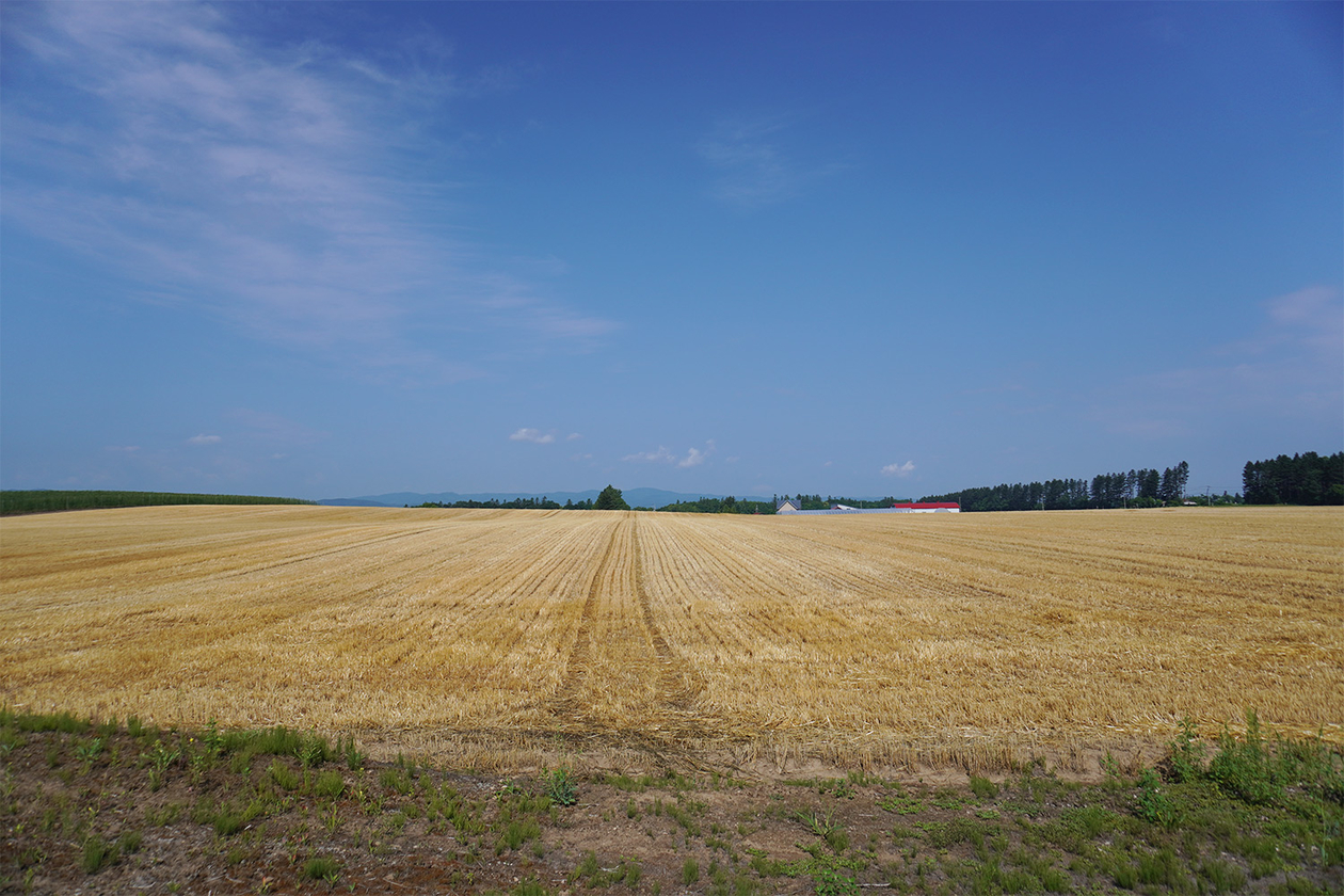 第三百十一話 枠にとらわれない－【北海道篇】文化人類学者 山口昌男－
