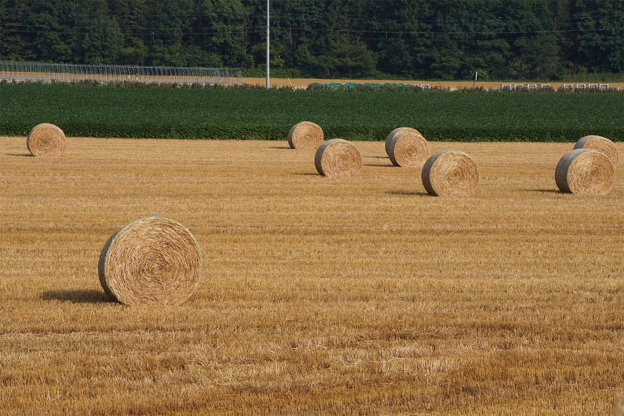 第三百十一話 枠にとらわれない－【北海道篇】文化人類学者 山口昌男－