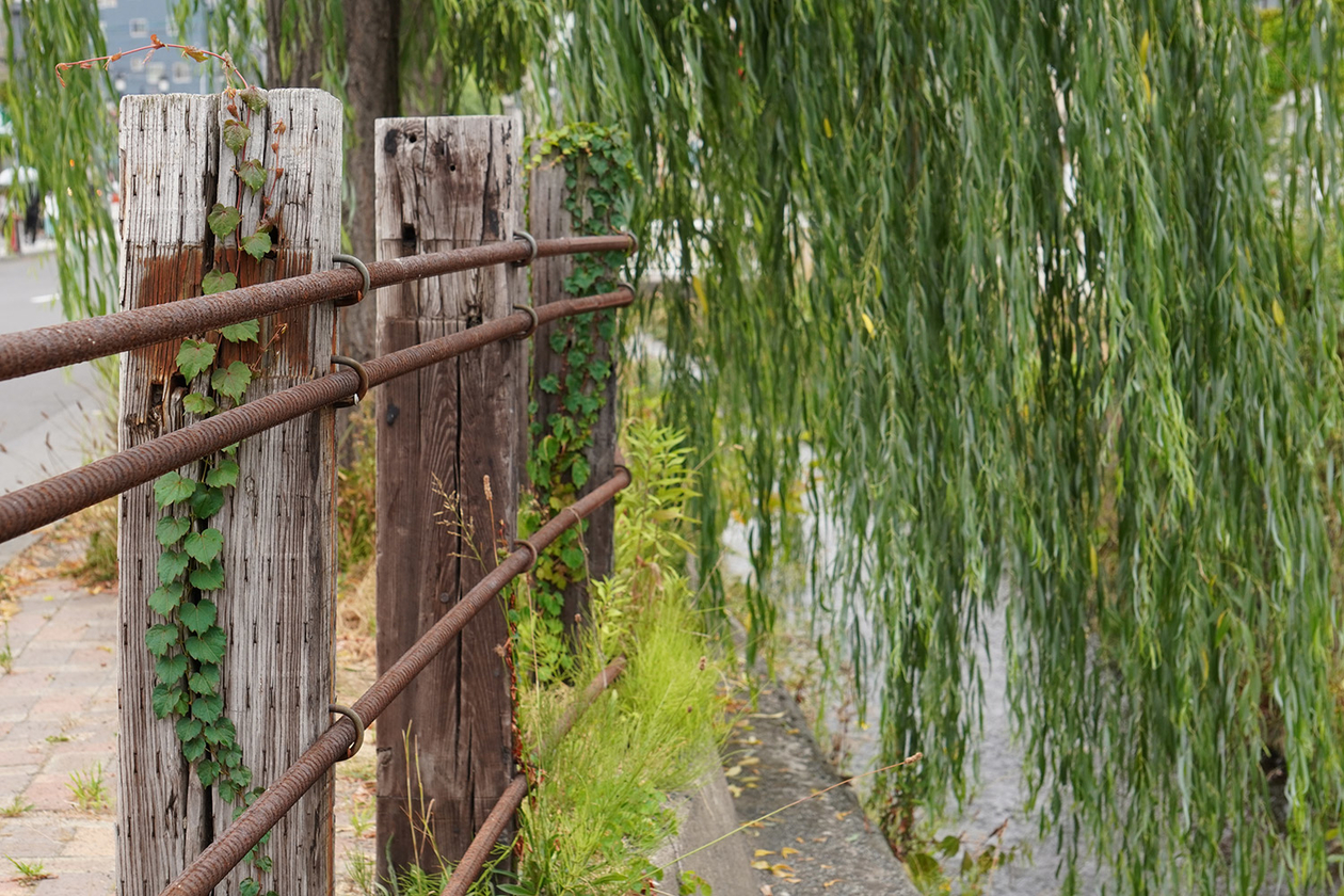 第三百十二話 人のやりたがらぬことをなせ。人の嫌がる所へゆけ－【北海道篇】医師 中村哲－
