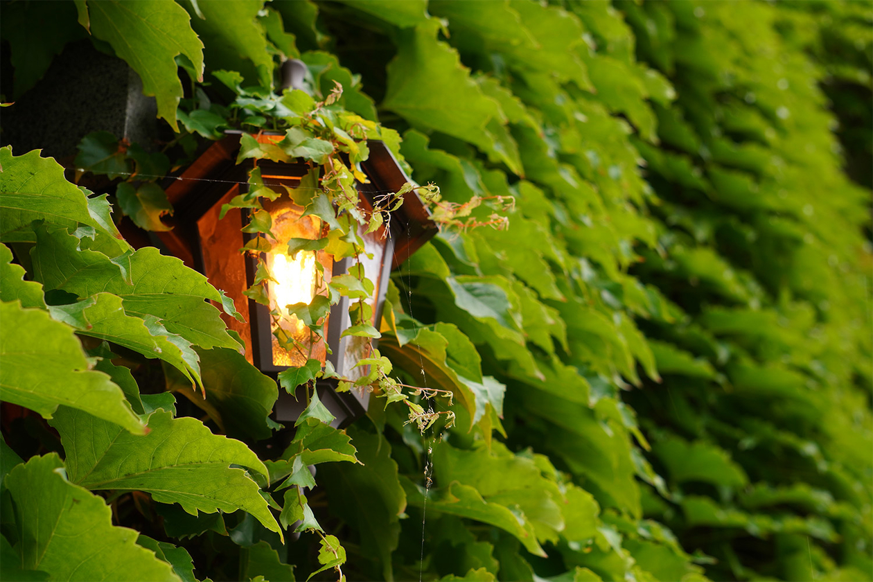第三百十二話 人のやりたがらぬことをなせ。人の嫌がる所へゆけ－【北海道篇】医師 中村哲－