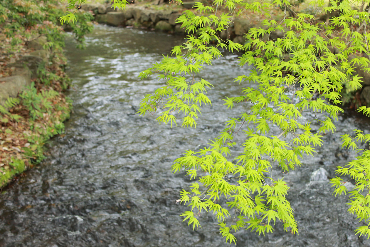 第三十三話 角を捨てない－【京都篇】 芸術家 北大路魯山人－