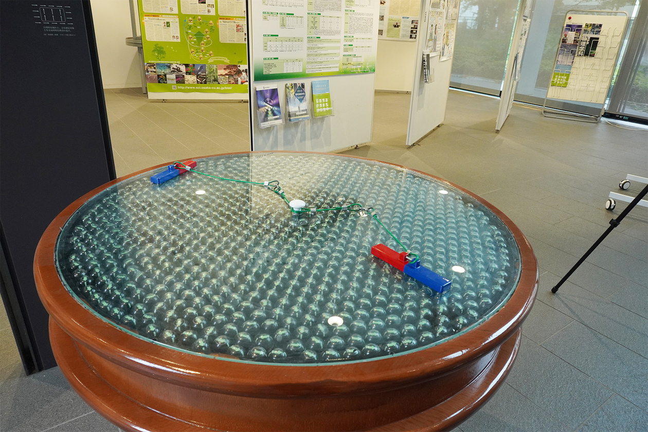 第三百十六話 ほがらかに生きる－【大阪篇】物理学者 南部陽一郎－