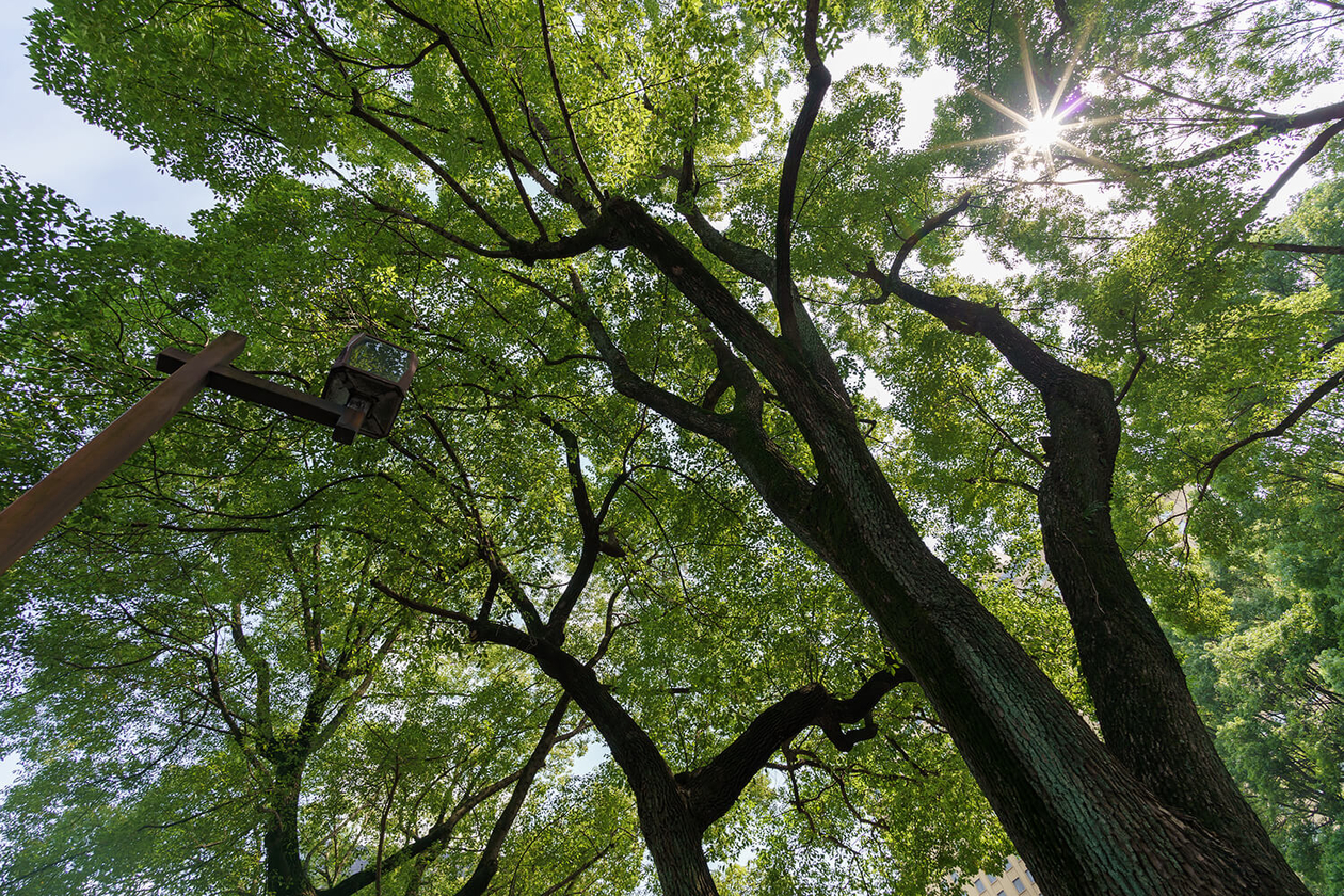 第三百十八話 自分を哀れむことをやめる－【宇宙篇】コンスタンチン・ツィオルコフスキー－