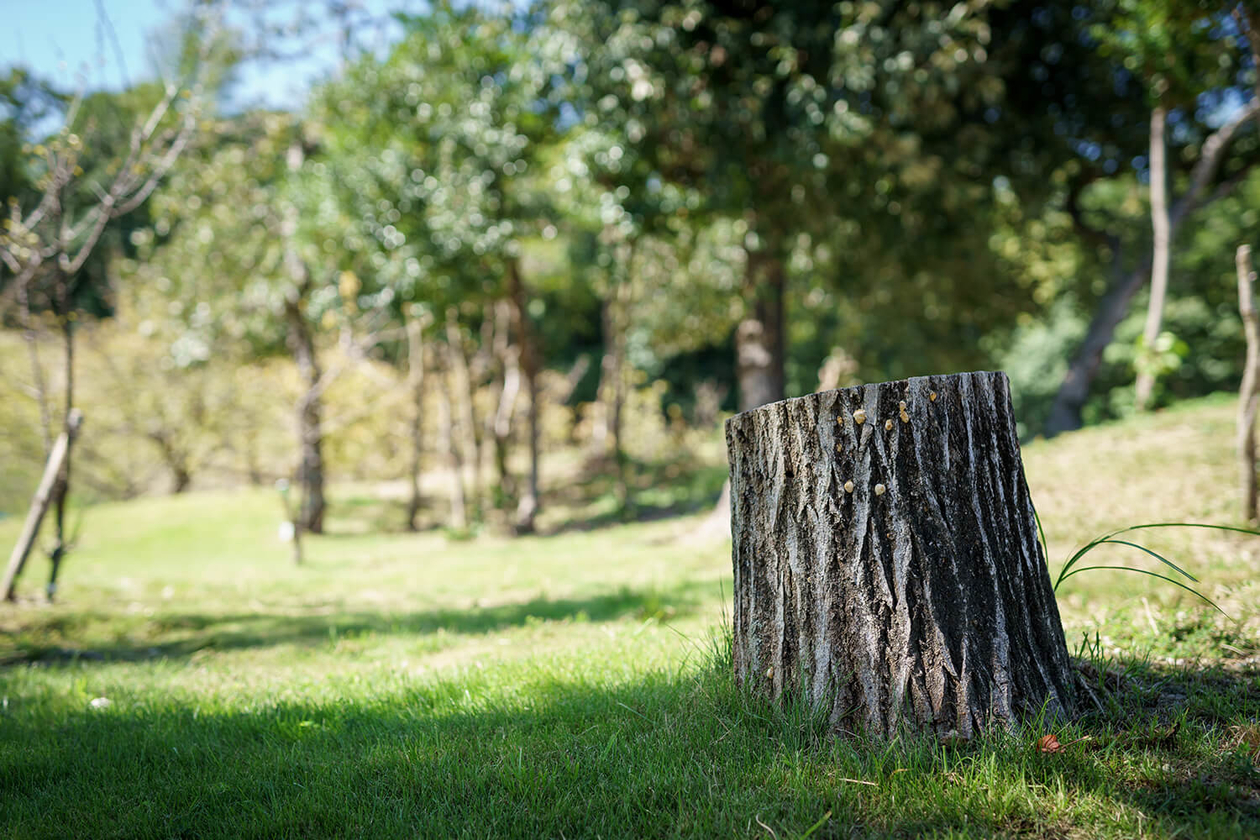 第三百十八話 自分を哀れむことをやめる－【宇宙篇】コンスタンチン・ツィオルコフスキー－