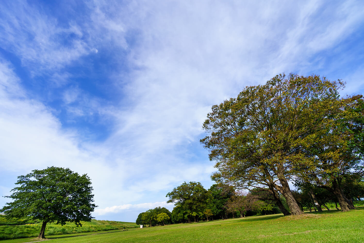 第三百十九話 失敗という言葉を使わない－【宇宙篇】糸川英夫－