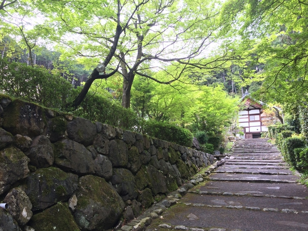 第三十四話 昨日の自分を捨てる－【京都篇】 アーティスト デヴィッド・ボウイ－