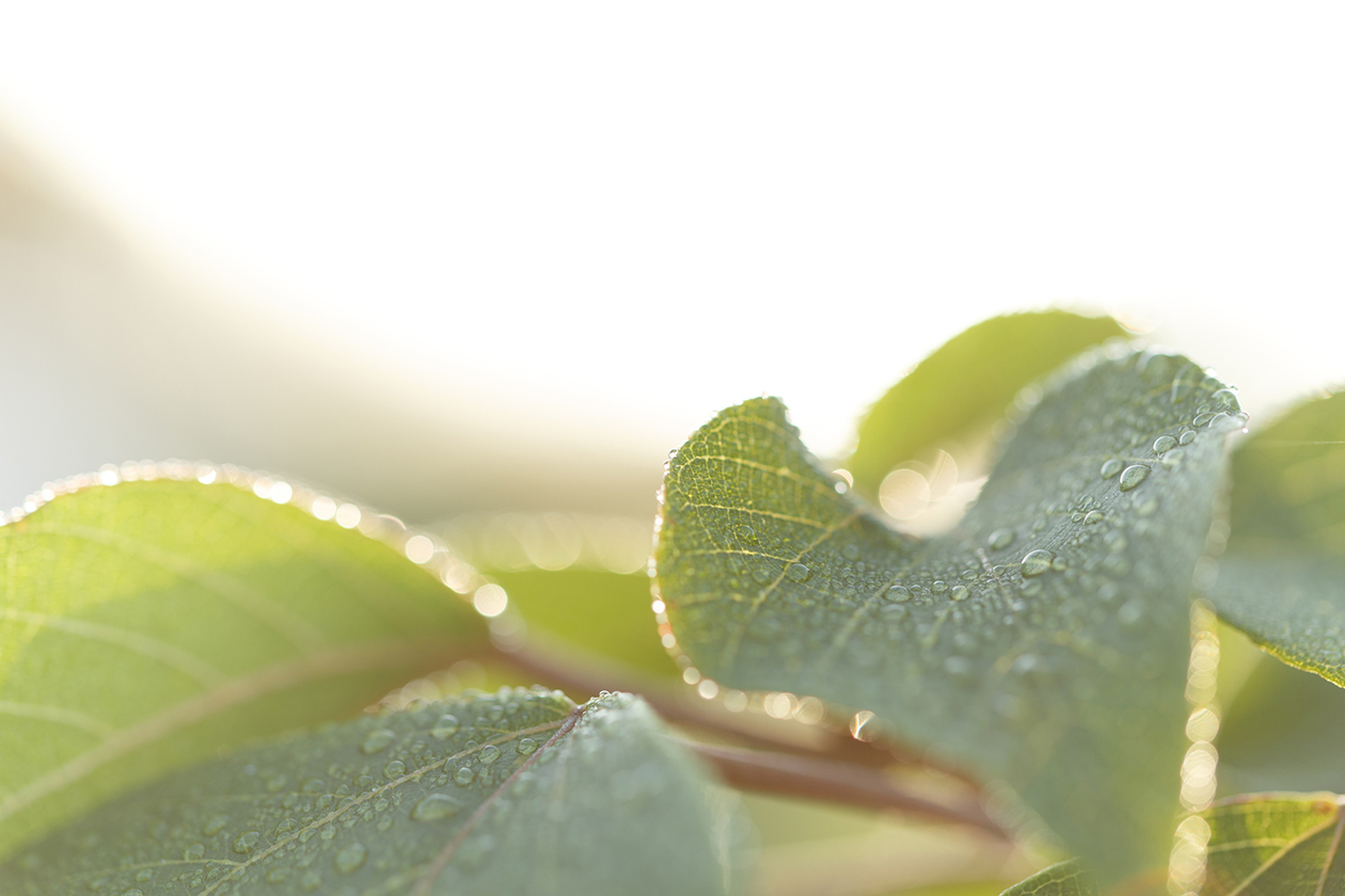 第三百二十一話 自分を信じ続ける－【宇宙篇】ロバート・A・ハインライン－