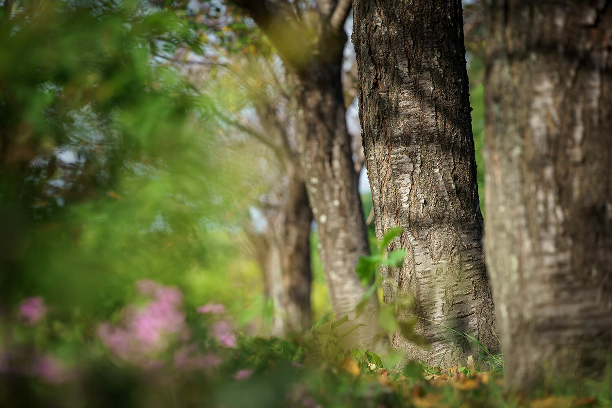 第三百二十二話 勇気と謙虚さを同時に持つ－【宇宙篇】ユーリー・ガガーリン－