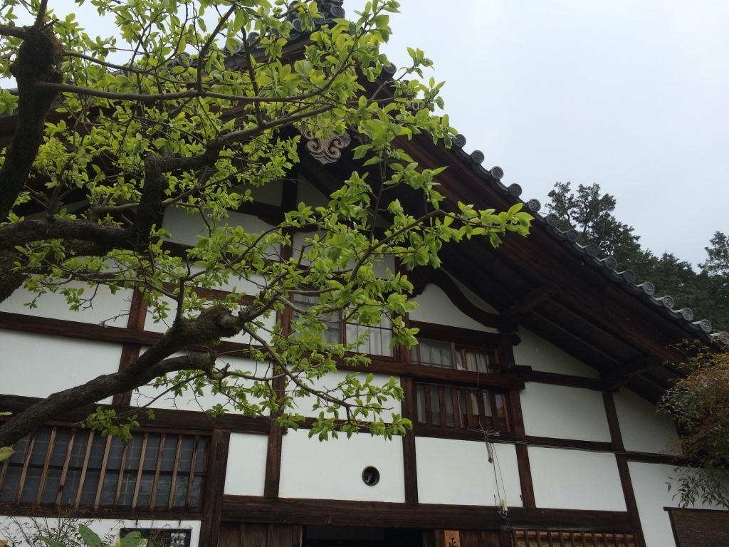 第三十四話 昨日の自分を捨てる－【京都篇】 アーティスト デヴィッド・ボウイ－