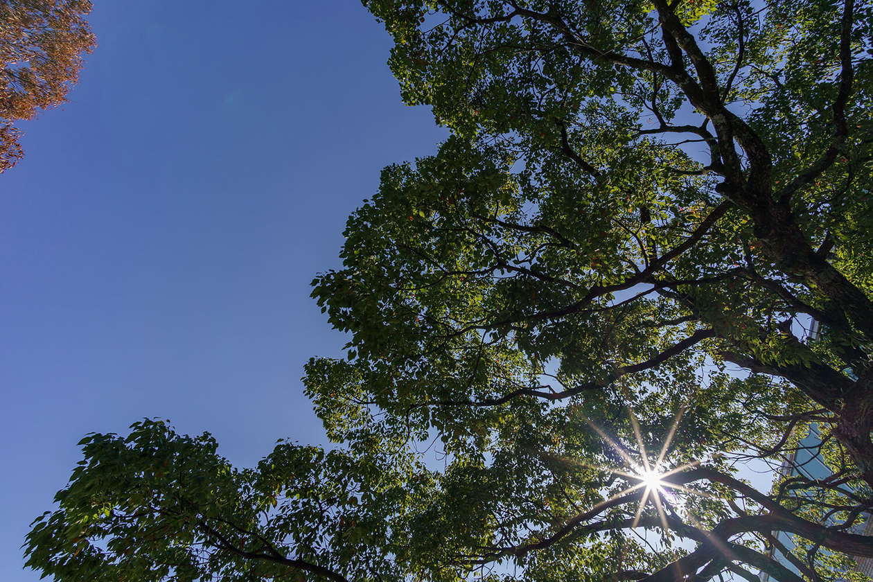 第三百二十四話 自分から目を離さない－【三重篇】画家 フランシスコ・デ・ゴヤ－