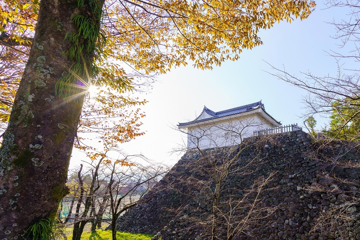 第三百二十六話 自分で得たものしか使えない－【三重篇】映画監督 衣笠貞之助－