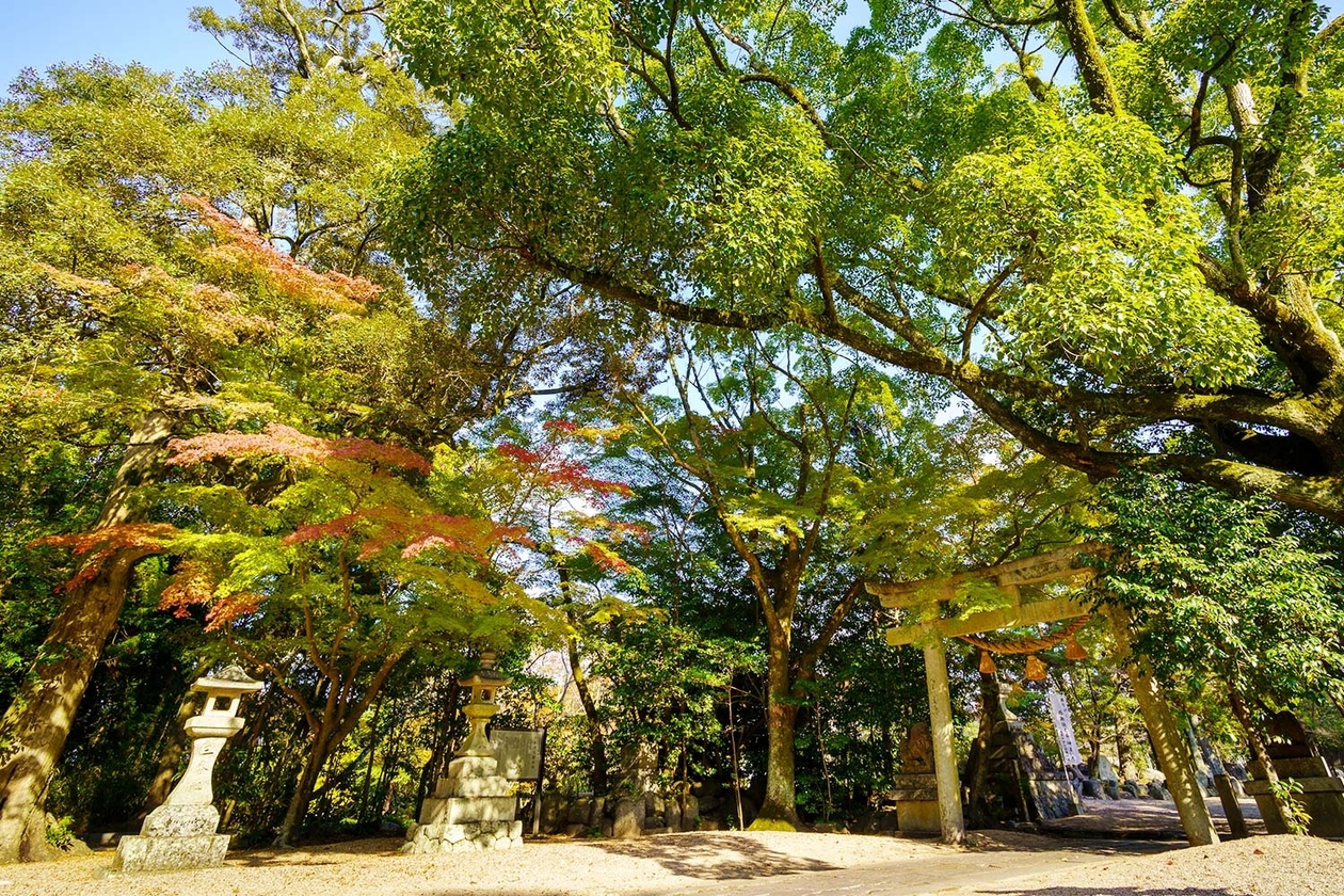 第三百二十六話 自分で得たものしか使えない－【三重篇】映画監督 衣笠貞之助－