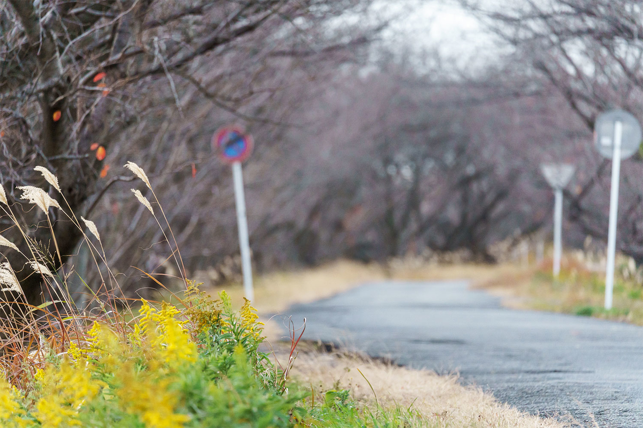 第三百二十八話 逆転を諦めない－【東京篇】ボクサー 大場政夫－