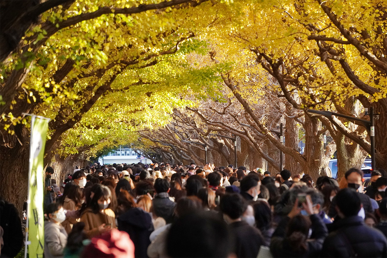 第三百二十九話 愚痴を言うなら発想を変える－【東京篇】作家 向田邦子－
