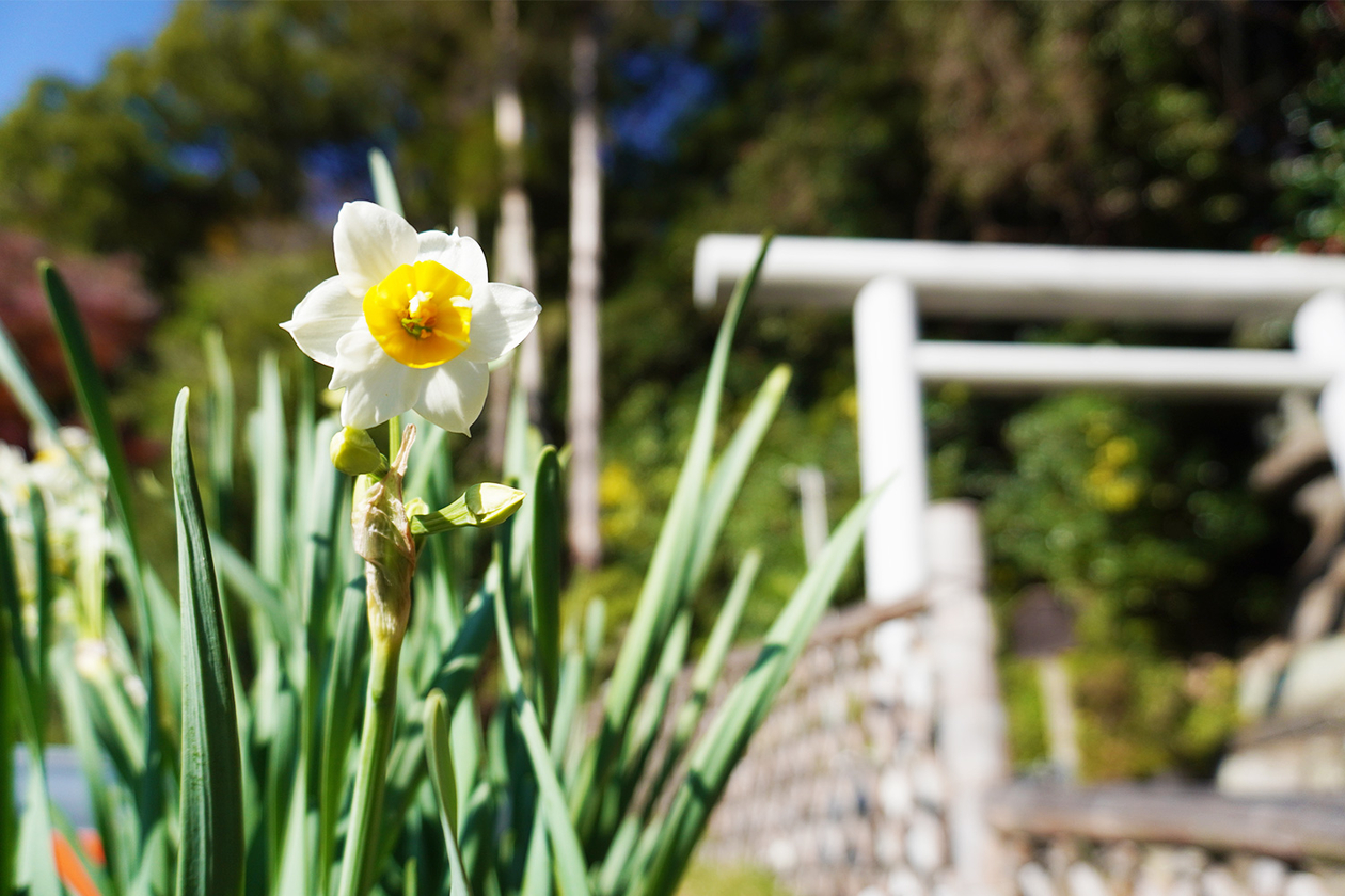 第三百三十一話 自分で決めた姿勢を貫く | yes！～明日への便り