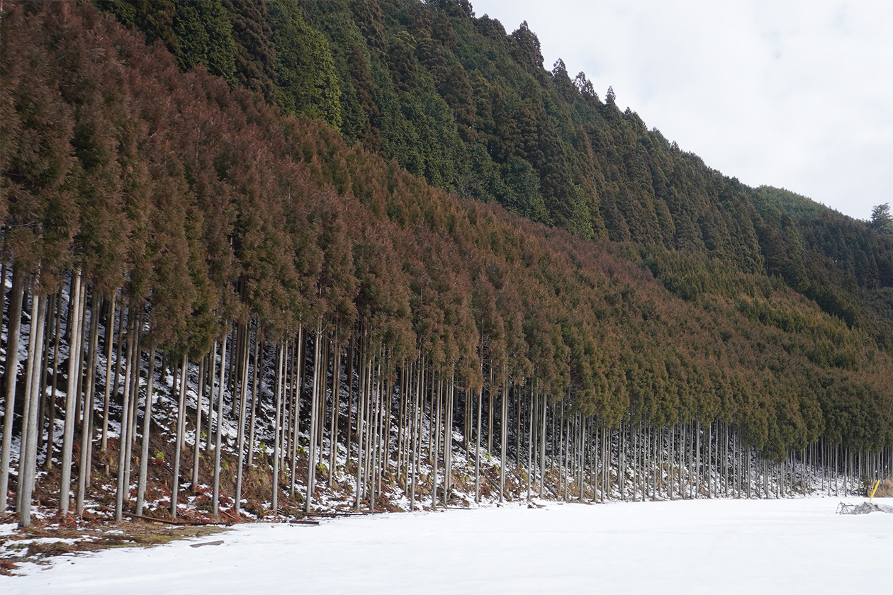 第三百三十六話 相反する自分を共存させる－【京都篇】作家 川端康成－