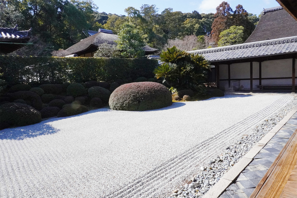 第三百三十九話 権力を笑い、我が道を行く－【京都篇】僧侶 一休宗純－