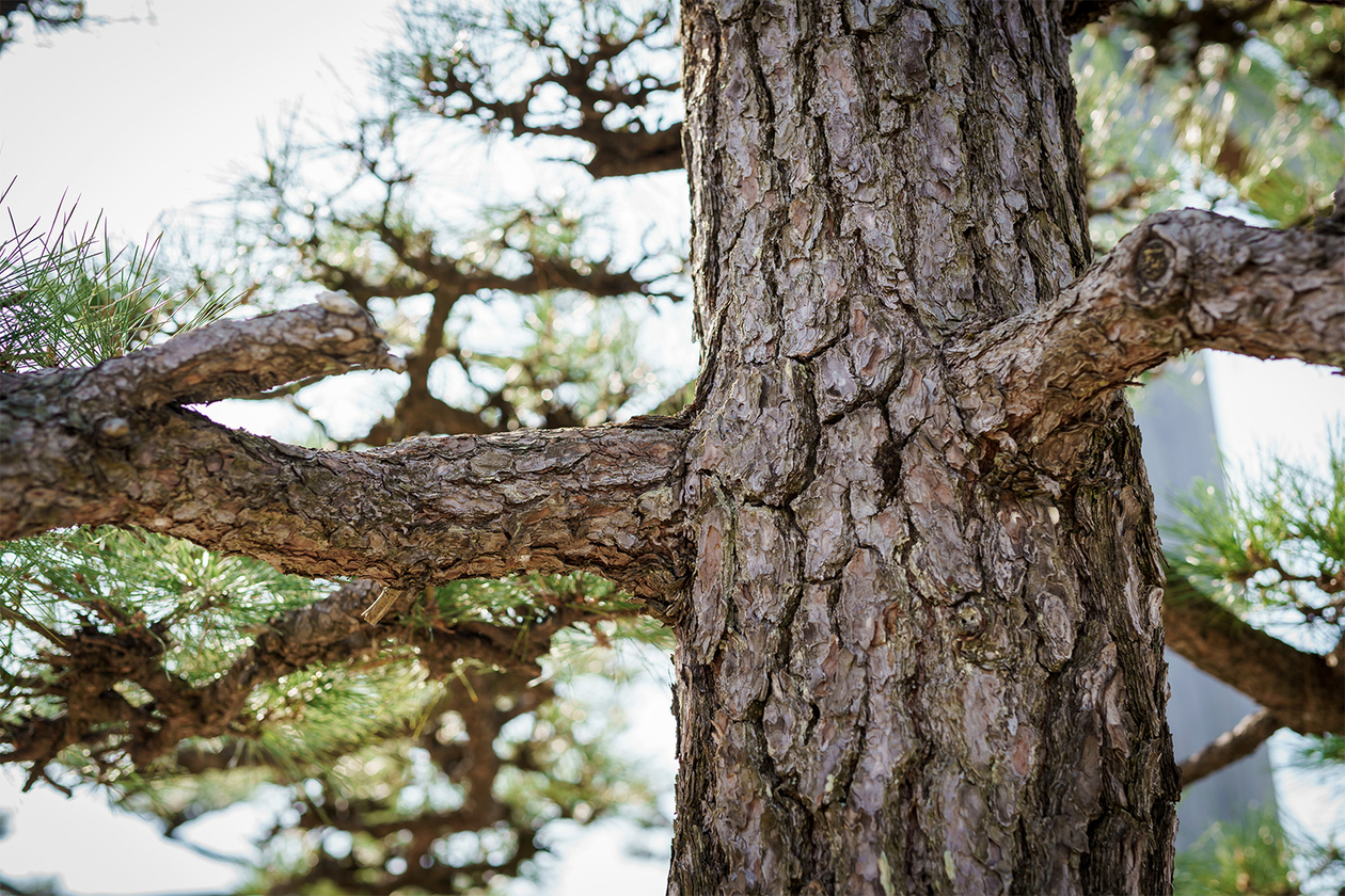 第三百四十五話 静かに力を蓄える－【伝説のミュージシャン篇】ジェームス・ブラウン－