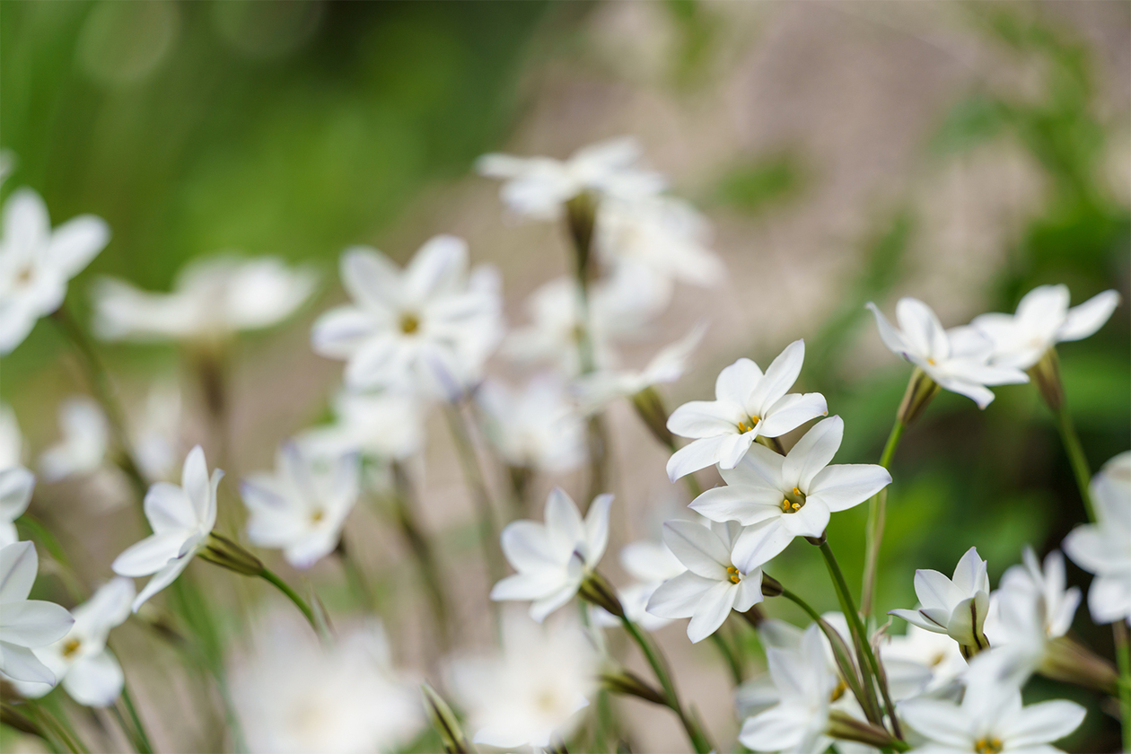 第三百四十五話 静かに力を蓄える－【伝説のミュージシャン篇】ジェームス・ブラウン－